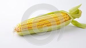 food sweet corn white background In