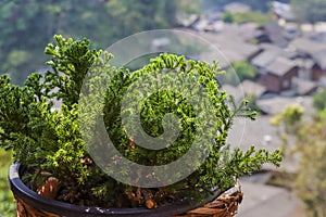 Food on the table with a view of the mountains