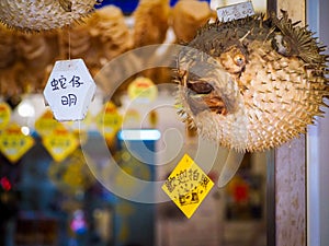 Food in Tai O fishing village, Hong Kong