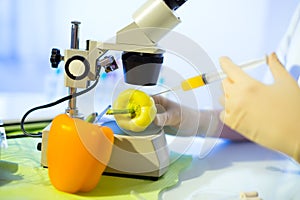 Food testing in the laboratory. GMO food