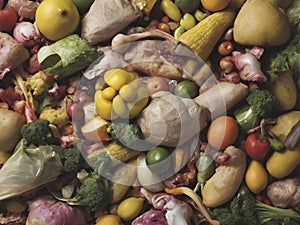 Food for Thought: A Colorful Representation of the Urgency to Combat Waste