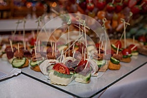 Food tray with delicious salami, pieces of sliced ham, sausage, yellow cheese