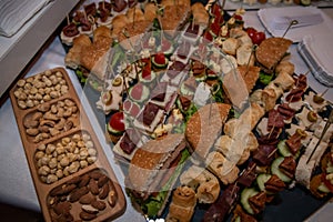 Food tray with delicious salami, pieces of sliced ham, sausage, yellow cheese