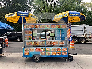 Food Trucks vendors in New York City, USA