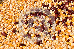 Food and vegetable - Close up Corn Bean and Kidney bean nature abstract background