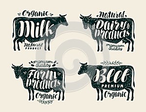 Food, vintage label set. Cow, bull, beef, milk, farm animals, dairy products icons or logos. Lettering, calligraphy