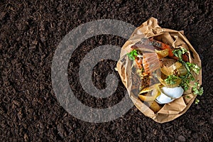 Food waste.compost from food waste. environmental control