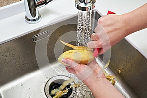 Food waste disposer machine in sink in modern kitchen photo