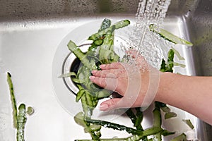 Food waste disposer machine in sink in modern kitchen