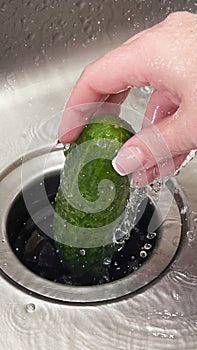 Food waste disposer machine in sink in modern kitchen