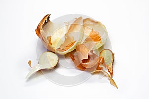 Food waste onion on a white background. Isolate. Close up. Waste for recycling. Responsible disposal of household food wastage in