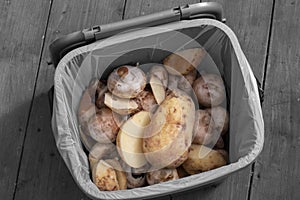 Food waste recycling bin container with rotten vegetables inside.  Food waste concept