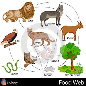 Food Web