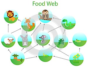 Food web