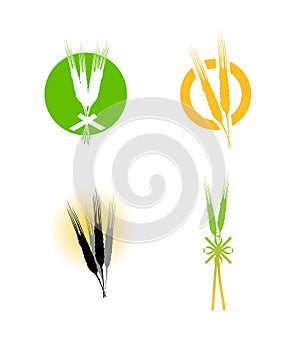 Food wheat grains logo