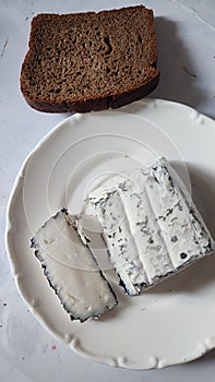 food white goat cheese with mold, bread