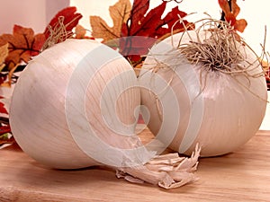 Food: White Onions photo