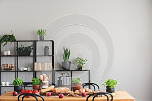 Food on wooden table and plants on black shelves in grey dining room interior with copy space