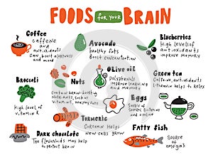 Food for your brain. Doodle illustration of different healthy food and nutrition facts. Made in vector.
