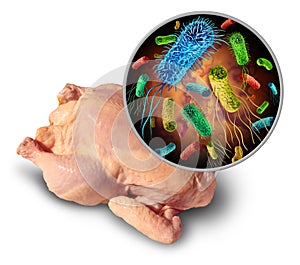 Foodborne Pathogen photo