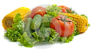 Foodgroup: vegetables