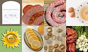 Foods according to the type of cholesterol.