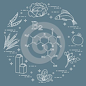 Foods rich in vitamin B2. Fish, peas and other.