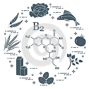 Foods rich in vitamin B2. Fish, peas and other.