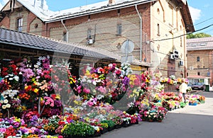 Foods at Riga Central Market in Latvia