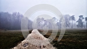 Foog in the park with effekt.