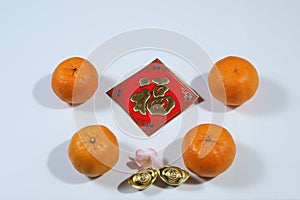 Fook, one of the most auspicious Chinese New Year greetings decorated with cherry blossom, orange