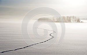 Foootsteps on lake in winter