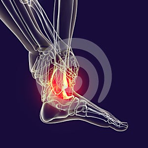 Foot and ankle pain, conceptual 3D illustration. Foot anatomy
