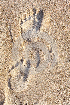 Foot Bas Relief Sand Texture photo