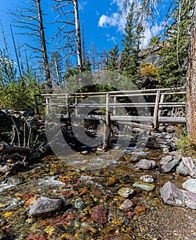 Foot Bridge Baring Creek