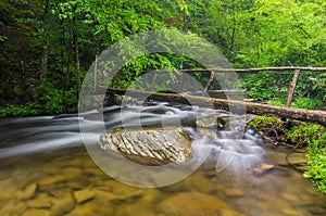 Foot bridge, Middle Prong, Great Smoky Mountains