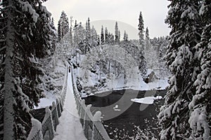 Foot-bridge Oulanka National Park. Finland.