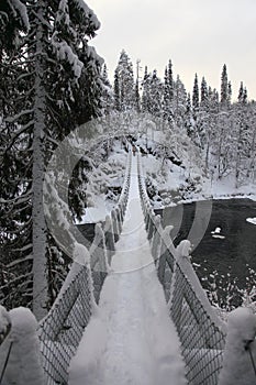 Foot-bridge Oulanka National Park. Finland.