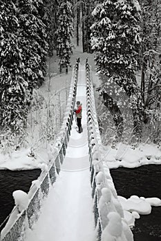 Foot-bridge Oulanka National Park. Finland. photo