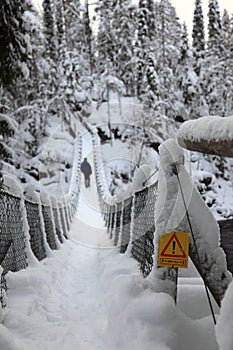 Foot-bridge Oulanka National Park. Finland. photo