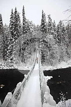 Foot-bridge Oulanka National Park. Finland. photo