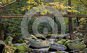 Foot bridge over Smoky Mountain stream with fall foliage
