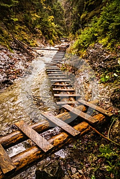 Foot-bridges in Slovak Paradise