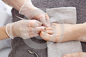 Foot care, female feet during a pedicure at a beauty salon.