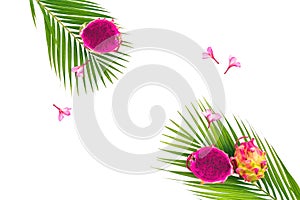 Foot composition of dragon fruits, flowers and palm leaves on white background. Flat lay, top view.