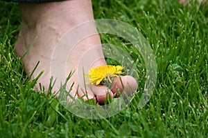 Foot on the grass