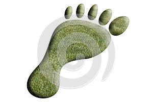 Foot of grass
