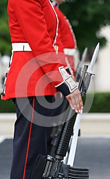 Foot Guards Side View