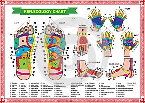 Foot and Hand reflexology chart