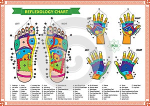 Foot and Hand reflexology chart
